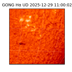 gong - 2025-12-29T11:00:02