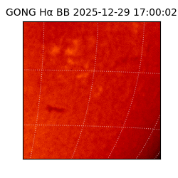 gong - 2025-12-29T17:00:02