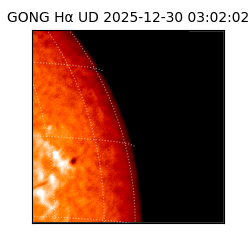 gong - 2025-12-30T03:02:02
