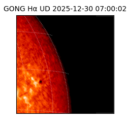 gong - 2025-12-30T07:00:02