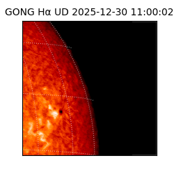 gong - 2025-12-30T11:00:02