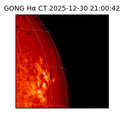 gong - 2025-12-30T21:00:42