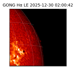 gong - 2025-12-30T02:00:42