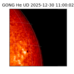 gong - 2025-12-30T11:00:02