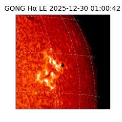 gong - 2025-12-30T01:00:42