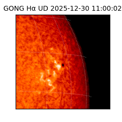 gong - 2025-12-30T11:00:02