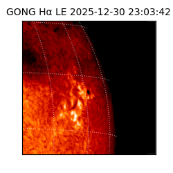 gong - 2025-12-30T23:03:42