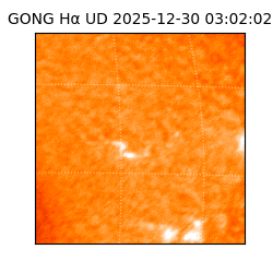 gong - 2025-12-30T03:02:02