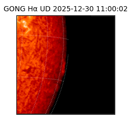 gong - 2025-12-30T11:00:02
