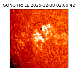 gong - 2025-12-30T02:00:42