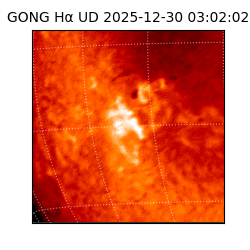 gong - 2025-12-30T03:02:02