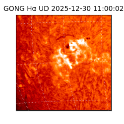 gong - 2025-12-30T11:00:02