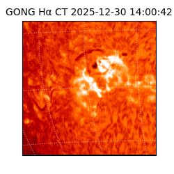 gong - 2025-12-30T14:00:42