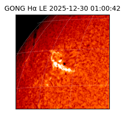 gong - 2025-12-30T01:00:42
