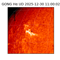 gong - 2025-12-30T11:00:02