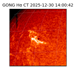 gong - 2025-12-30T14:00:42