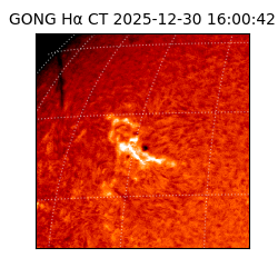 gong - 2025-12-30T16:00:42