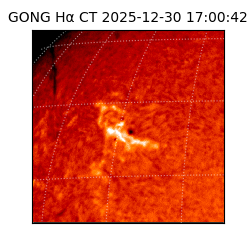 gong - 2025-12-30T17:00:42