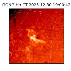 gong - 2025-12-30T19:00:42