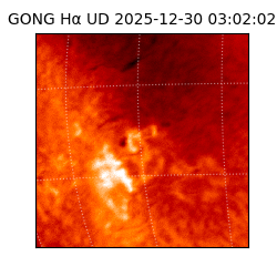 gong - 2025-12-30T03:02:02