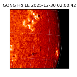 gong - 2025-12-30T02:00:42