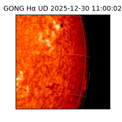 gong - 2025-12-30T11:00:02