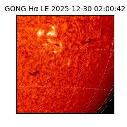 gong - 2025-12-30T02:00:42