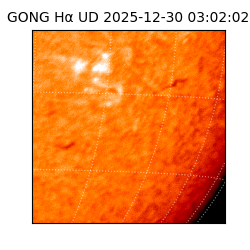 gong - 2025-12-30T03:02:02