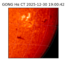 gong - 2025-12-30T19:00:42