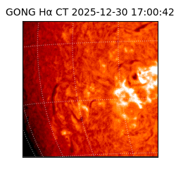 gong - 2025-12-30T17:00:42