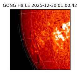 gong - 2025-12-30T01:00:42