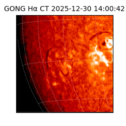 gong - 2025-12-30T14:00:42