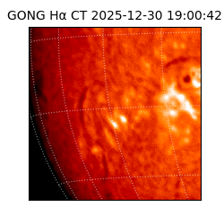 gong - 2025-12-30T19:00:42