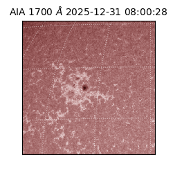 saia - 2025-12-31T08:00:28.718000