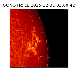 gong - 2025-12-31T02:00:42