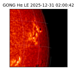 gong - 2025-12-31T02:00:42