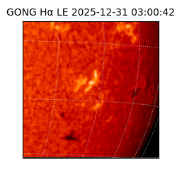 gong - 2025-12-31T03:00:42