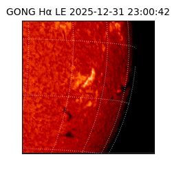 gong - 2025-12-31T23:00:42