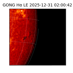 gong - 2025-12-31T02:00:42