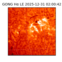 gong - 2025-12-31T02:00:42