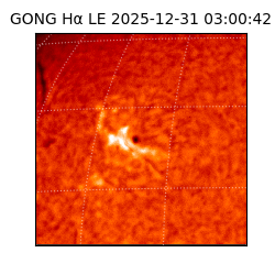 gong - 2025-12-31T03:00:42