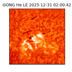 gong - 2025-12-31T02:00:42