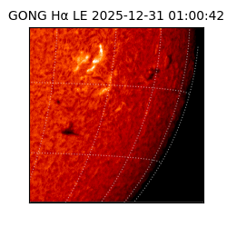 gong - 2025-12-31T01:00:42