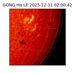 gong - 2025-12-31T02:00:42