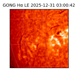 gong - 2025-12-31T03:00:42