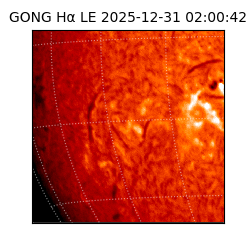 gong - 2025-12-31T02:00:42