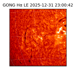 gong - 2025-12-31T23:00:42
