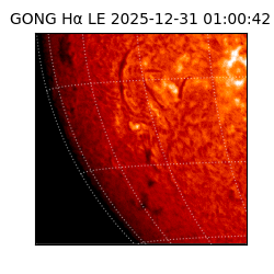 gong - 2025-12-31T01:00:42