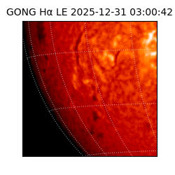 gong - 2025-12-31T03:00:42