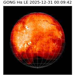gong - 2025-12-31T00:09:42